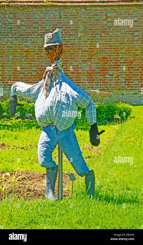 medievil scarecrow|Medievil .